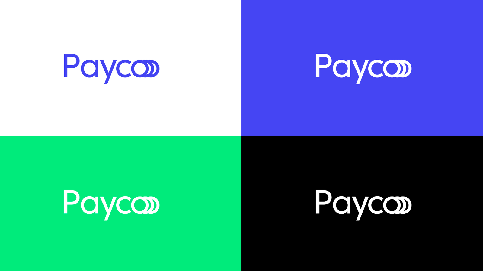 Payco_Identidade Visual_Aupe Design_04