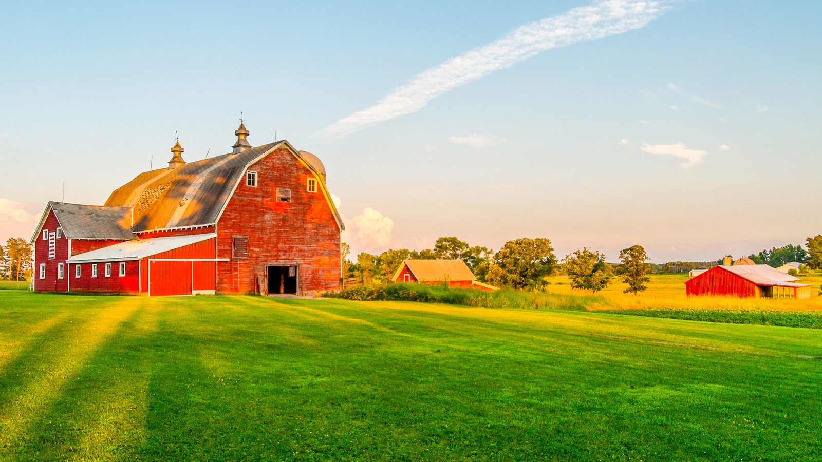 Peace Farm_Design de embalagem_Aupe Design_02 Peace Farm_Design de embalagem_Aupe Design_02