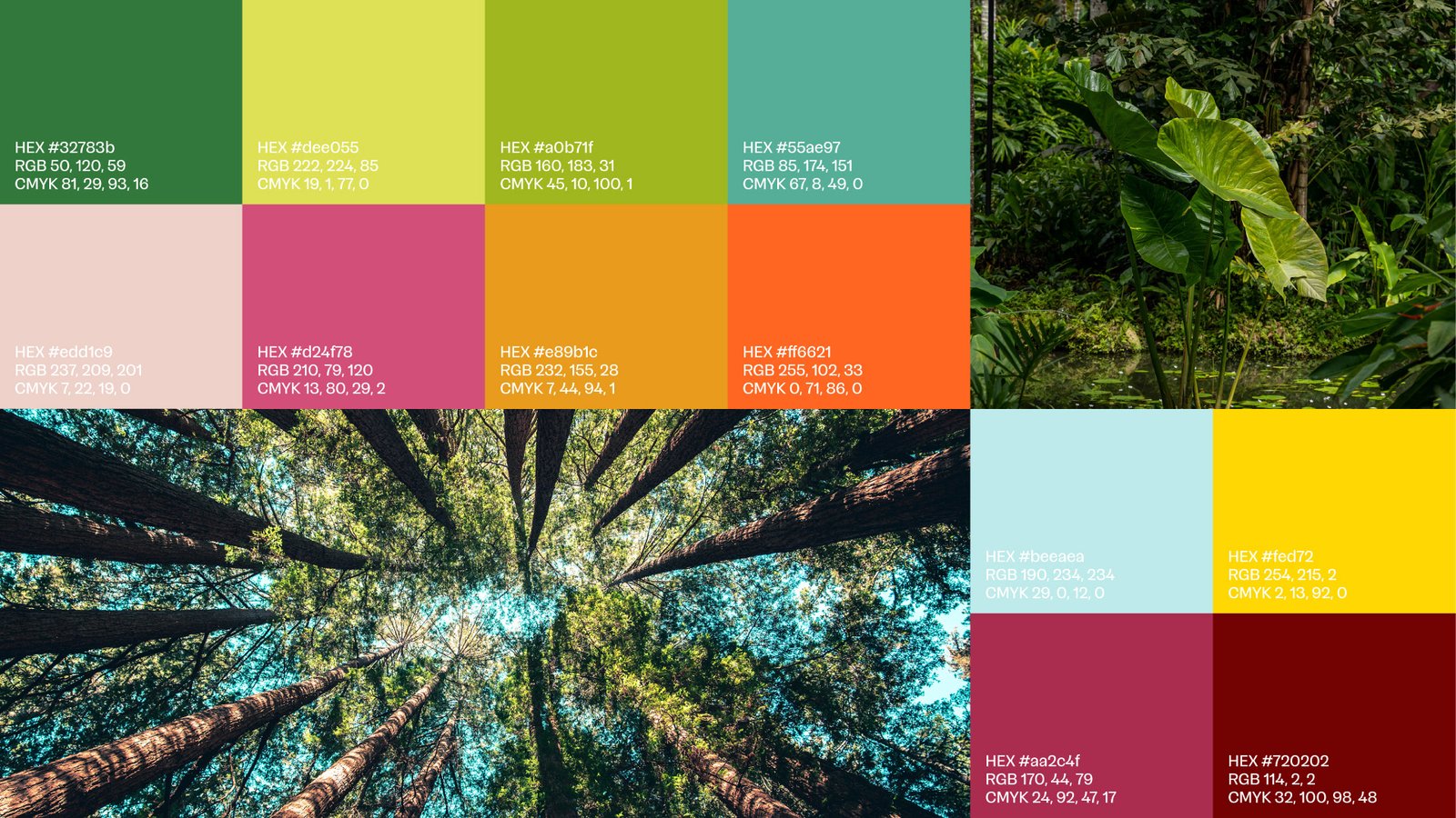 Selva e paz 01_Design de embalagem_Aupe Design 02 Selva e paz 01_Design de embalagem_Aupe Design 02